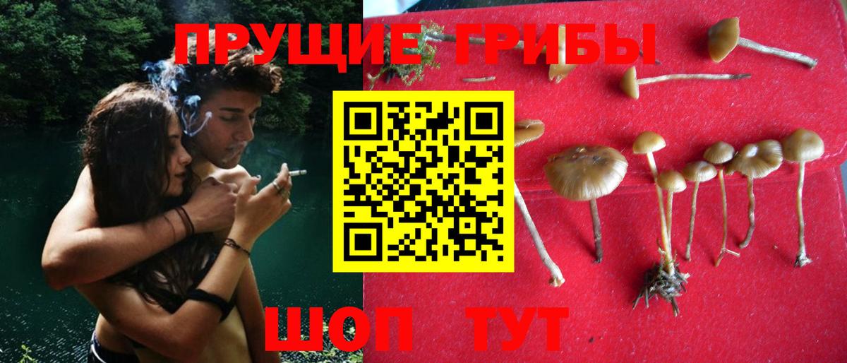 закладка  Псилоцибиновые грибы прущие грибы  Вход с VPN  Омск 